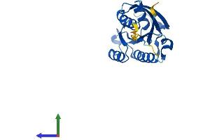 AlphaFold protein structure predicition of Human Recombinant NKIRAS2 Protein, UniprotID Q9NYR9