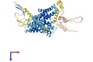 AlphaFold protein structure predicition of Mouse Recombinant Slc9a9 Protein, UniprotID Q8BZ00