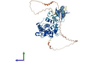 AlphaFold protein structure predicition of Mouse Recombinant Plekha8 Protein, UniprotID Q80W71