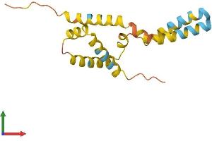 AlphaFold protein structure predicition of Human Recombinant C19orf12 Protein, UniprotID Q9NSK7
