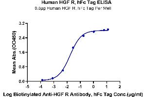 Immobilized Human HGF R, hFc Tag at 5 μg/mL (100 μL/Well) on the plate. (c-MET Protein (AA 25-932) (Fc Tag))