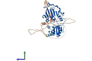 AlphaFold protein structure predicition of Human Recombinant DCLRE1B Protein, UniprotID Q9H816