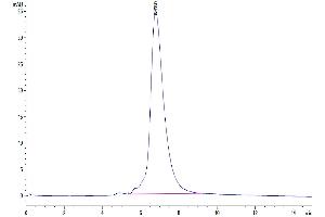 The purity of  Human IL-6 R alpha is greater than 95 % as determined by SEC-HPLC.