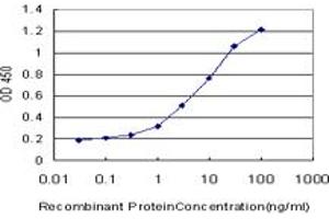 Detection limit for recombinant GST tagged SGK is approximately 0. (SGK1 anticorps  (AA 1-90))