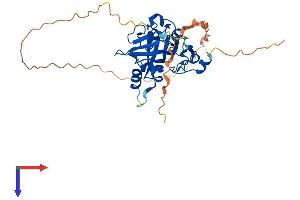 AlphaFold protein structure predicition of Mouse Recombinant Mpg Protein, UniprotID Q04841