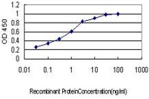 Detection limit for recombinant GST tagged KSR1 is approximately 0.