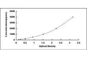 PDGF-BB Homodimer ELISA Kit