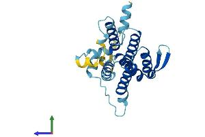 AlphaFold protein structure predicition of Mouse Recombinant Derl3 Protein, UniprotID Q9D8K3
