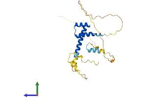 AlphaFold protein structure predicition of Mouse Recombinant Nkx3-1 Protein, UniprotID P97436