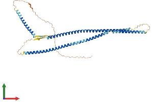 AlphaFold protein structure predicition of Mouse Recombinant Krt23 Protein, UniprotID Q99PS0