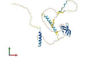 AlphaFold protein structure predicition of Mouse Recombinant Smn1 Protein, UniprotID P97801