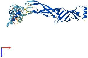 AlphaFold protein structure predicition of Human Recombinant DNAJB13 Protein, UniprotID P59910