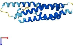 AlphaFold protein structure predicition of Human Recombinant CNIH2 Protein, UniprotID Q6PI25