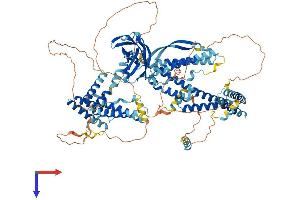 AlphaFold protein structure predicition of Mouse Recombinant Cc2d1a Protein, UniprotID Q8K1A6