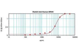 Image no. 1 for anti-Chemokine (C-X-C Motif) Ligand 14 (CXCL14) antibody (ABIN465239) (CXCL14 anticorps)