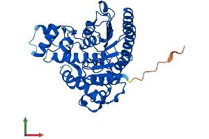 AlphaFold protein structure predicition of Mouse Recombinant Hdac8 Protein, UniprotID Q8VH37