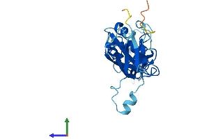 AlphaFold protein structure predicition of Human Recombinant CYB5D1 Protein, UniprotID Q6P9G0