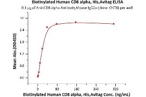 Immobilized Anti-CD8 alpha Antibody, Mouse IgG2a (clone: OKT8) at 1 μg/mL (100 μL/well) can bind Biotinylated Human CD8 alpha, His,Avitag (ABIN6973023) with a linear range of 1-39 ng/mL (Routinely tested). (CD8 alpha Protein (AA 22-182) (His tag,AVI tag,Biotin))