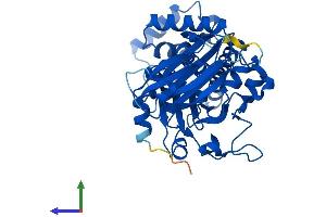 AlphaFold protein structure predicition of Mouse Recombinant Sec14l4 Protein, UniprotID Q8R0F9