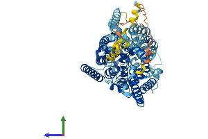 AlphaFold protein structure predicition of Mouse Recombinant Slc5a2 Protein, UniprotID Q923I7