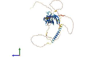 AlphaFold protein structure predicition of Mouse Recombinant Midn Protein, UniprotID Q3TPJ7