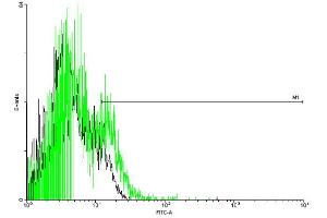 FACS analysis of negative control 293 cells (Black) and SPN expressing 293 cells (Green) using SPN purified MaxPab mouse polyclonal antibody.
