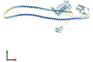 AlphaFold protein structure predicition of Mouse Recombinant Lrsam1 Protein, UniprotID Q80ZI6