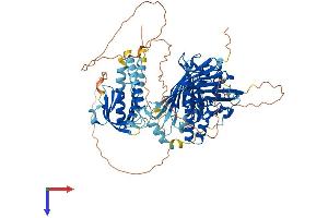 AlphaFold protein structure predicition of Mouse Recombinant Osbpl11 Protein, UniprotID Q8CI95