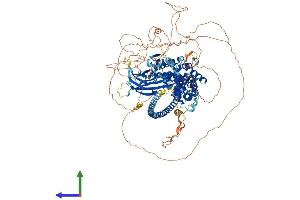 AlphaFold protein structure predicition of Human Recombinant DAB2IP Protein, UniprotID Q5VWQ8