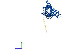 AlphaFold protein structure predicition of Human Recombinant VPS28 Protein, UniprotID Q9UK41