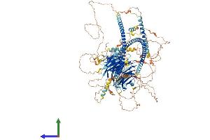 AlphaFold protein structure predicition of Human Recombinant SPAG9 Protein, UniprotID O60271