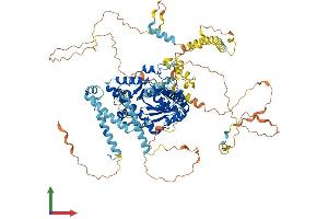 AlphaFold protein structure predicition of Mouse Recombinant Exosc10 Protein, UniprotID P56960