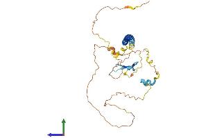 AlphaFold protein structure predicition of Human Recombinant GMNC Protein, UniprotID A6NCL1