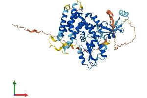 AlphaFold protein structure predicition of Mouse Recombinant Cblc Protein, UniprotID Q80XL1