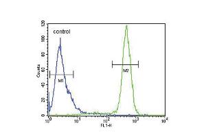 Flow cytometric analysis of Hela cells (right histogram) compared to a negative control cell (left histogram). (SCN1B anticorps  (N-Term))