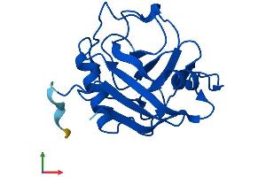AlphaFold protein structure predicition of Human Recombinant PPIL1 Protein, UniprotID Q9Y3C6