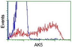HEK293T cells transfected with either RC222241 overexpress plasmid (Red) or empty vector control plasmid (Blue) were immunostained by anti-AK5 antibody (ABIN2452724), and then analyzed by flow cytometry. (Adenylate Kinase 5 anticorps)