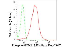 Flow cytometric analysis of phospho-MCM2 (S27) expression in HepG2 cells using phospho-MCM2 (S27) antibody (ABIN7799417), 1:2,000).