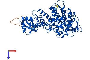 AlphaFold protein structure predicition of Mouse Recombinant Lap3 Protein, UniprotID Q9CPY7