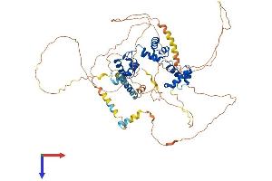 AlphaFold protein structure predicition of Mouse Recombinant Myb Protein, UniprotID P06876