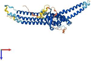 AlphaFold protein structure predicition of Mouse Recombinant Snx8 Protein, UniprotID Q8CFD4