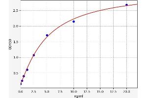 Typical standard curve (COL10A1 Kit ELISA)
