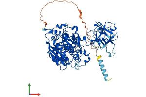 AlphaFold protein structure predicition of Human Recombinant GALNT10 Protein, UniprotID Q86SR1