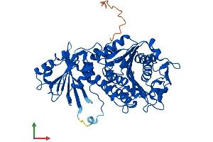 AlphaFold protein structure predicition of Mouse Recombinant Npepl1 Protein, UniprotID Q6NSR8