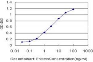 Detection limit for recombinant GST tagged RNF151 is approximately 0.