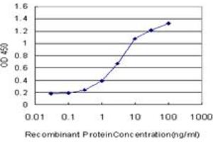 Detection limit for recombinant GST tagged PCYT1A is approximately 0. (PCYT1A anticorps  (AA 2-90))
