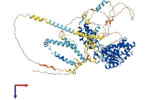 AlphaFold protein structure predicition of Human Recombinant EXOSC10 Protein, UniprotID Q01780