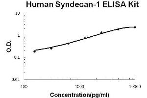 Human SDC1/Syndecan-1 PicoKine ELISA Kit standard curve (Syndecan 1 Kit ELISA)