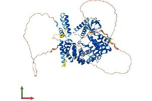 AlphaFold protein structure predicition of Human Recombinant NCKIPSD Protein, UniprotID Q9NZQ3