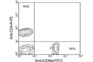 Flow Cytometry (FACS) image for anti-CD8 (CD8) antibody (FITC) (ABIN356190) (CD8 anticorps  (FITC))